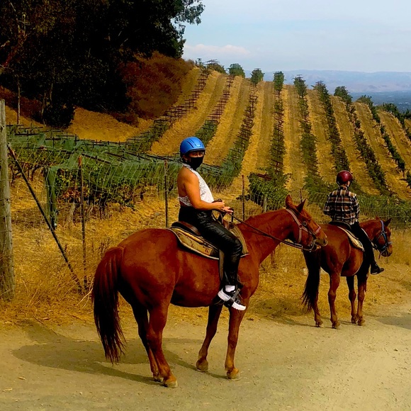 Gab - Picture 1 of 1